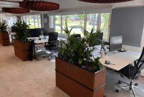 Biuras, asociatyvi nuotr.